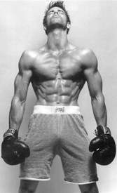 boxerhard.jpg